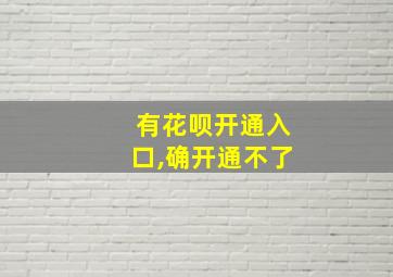 有花呗开通入口,确开通不了