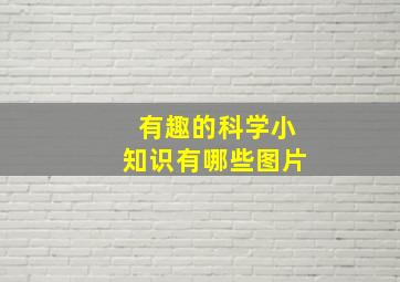 有趣的科学小知识有哪些图片