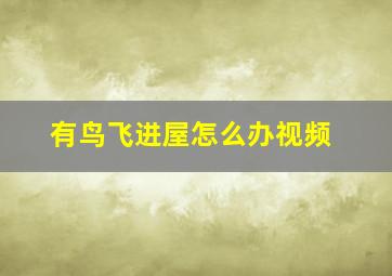 有鸟飞进屋怎么办视频