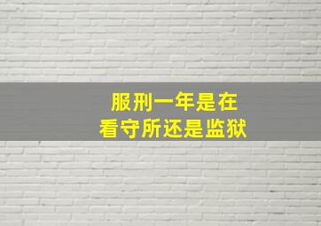 服刑一年是在看守所还是监狱