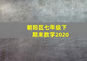 朝阳区七年级下期末数学2020