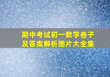 期中考试初一数学卷子及答案解析图片大全集