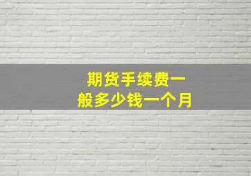 期货手续费一般多少钱一个月