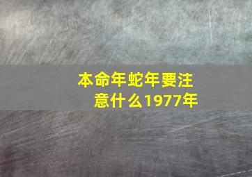 本命年蛇年要注意什么1977年