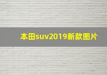 本田suv2019新款图片