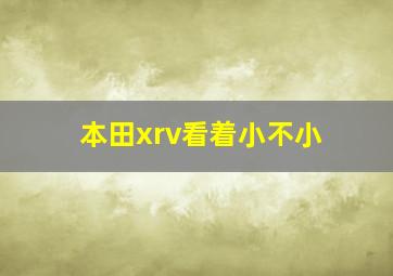 本田xrv看着小不小