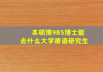 本硕博985博士能去什么大学德语研究生