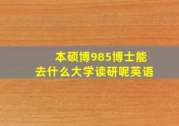 本硕博985博士能去什么大学读研呢英语