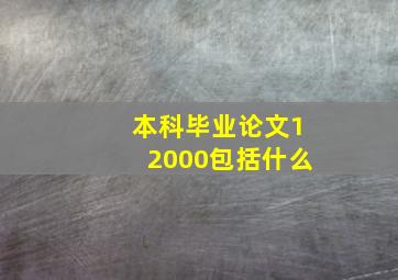 本科毕业论文12000包括什么