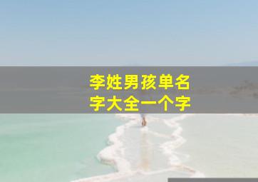 李姓男孩单名字大全一个字