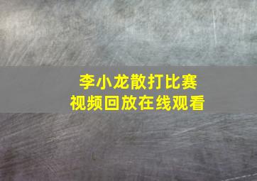 李小龙散打比赛视频回放在线观看