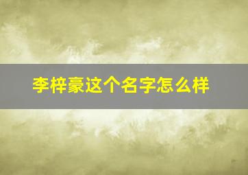 李梓豪这个名字怎么样