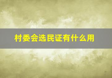 村委会选民证有什么用