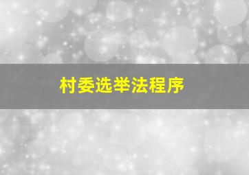 村委选举法程序