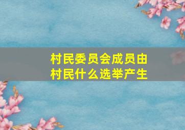 村民委员会成员由村民什么选举产生