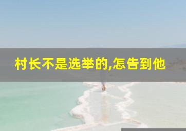 村长不是选举的,怎告到他