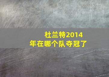 杜兰特2014年在哪个队夺冠了