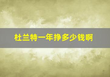 杜兰特一年挣多少钱啊