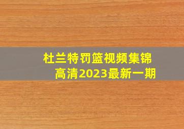 杜兰特罚篮视频集锦高清2023最新一期