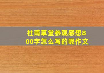 杜甫草堂参观感想800字怎么写的呢作文