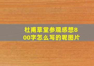 杜甫草堂参观感想800字怎么写的呢图片