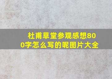 杜甫草堂参观感想800字怎么写的呢图片大全