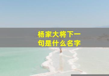 杨家大将下一句是什么名字