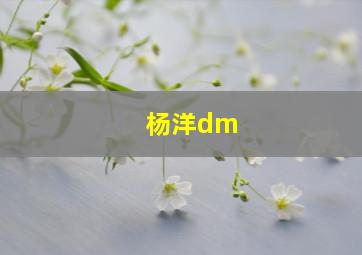 杨洋dm