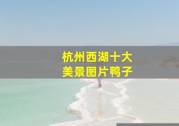 杭州西湖十大美景图片鸭子