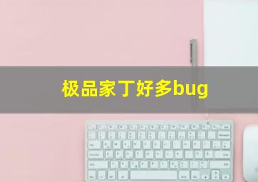 极品家丁好多bug