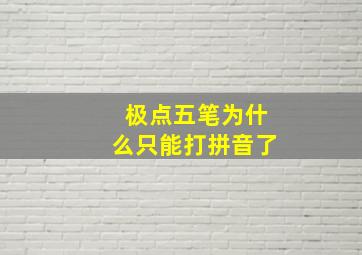 极点五笔为什么只能打拼音了