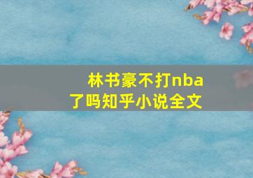 林书豪不打nba了吗知乎小说全文