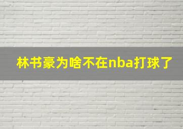 林书豪为啥不在nba打球了