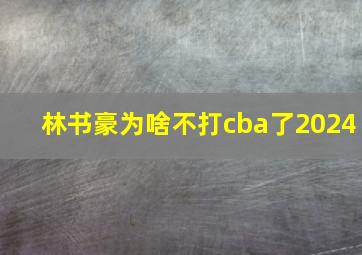 林书豪为啥不打cba了2024