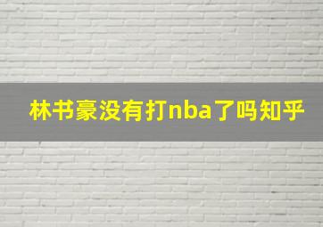 林书豪没有打nba了吗知乎