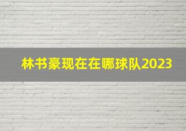 林书豪现在在哪球队2023