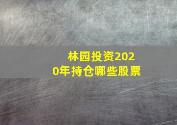 林园投资2020年持仓哪些股票