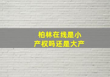 柏林在线是小产权吗还是大产