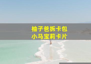 柚子爸拆卡包小马宝莉卡片