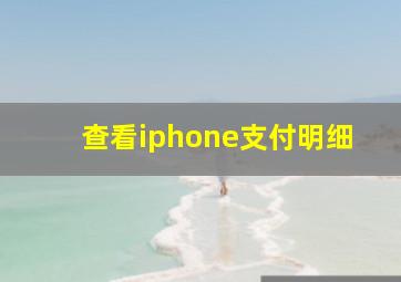 查看iphone支付明细