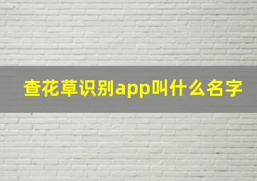 查花草识别app叫什么名字