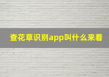 查花草识别app叫什么来着