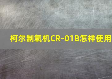 柯尔制氧机CR-01B怎样使用