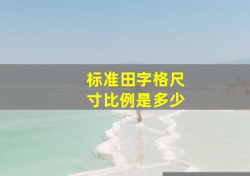 标准田字格尺寸比例是多少