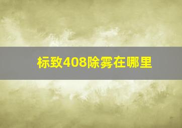 标致408除雾在哪里