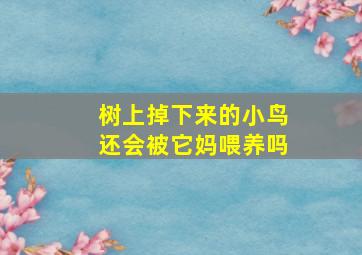 树上掉下来的小鸟还会被它妈喂养吗