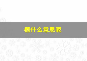 栖什么意思呢