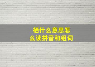 栖什么意思怎么读拼音和组词