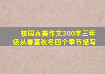 校园真美作文300字三年级从春夏秋冬四个季节描写