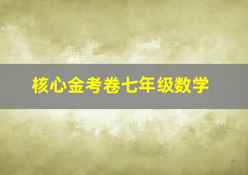 核心金考卷七年级数学